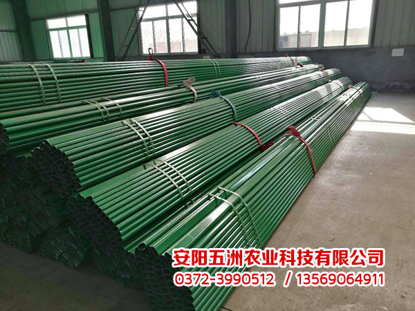 鋼管鍍塑大棚 鋼管鍍塑大棚